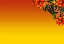 AUTUMN BACKGROUND