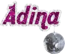 adina - disco ball