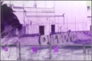 One Love