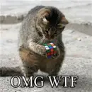 that`s my cat
