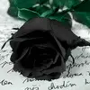 Black Rose