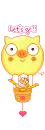 pig