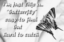 im just a butterfly easy to find but hard to catch