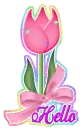 Hello~Tulip