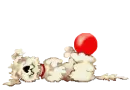 dog playing with a ball