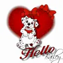 Dalmation heart -Bailey