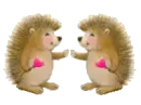 two hedhogs