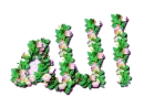 allah