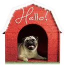 Hello!