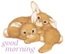 good morning