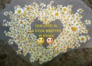 FLOWER STONE