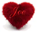 FURRY HEART: JOE