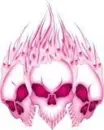 skulls