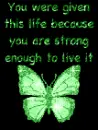 Life Quote