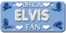 Elvis Fan