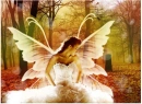 AUTUMN FAIRY