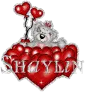 shaylin - hearts