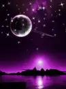 purple nature