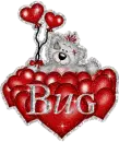 bug - heart