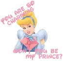 Cinderella - Be my Prince