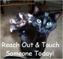 keep in touch