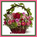 Michelle pink and green basket flowers