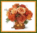 michelle orange flowers