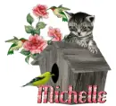 kitty house 