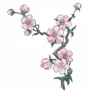 cherry blossom 