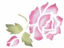small rose