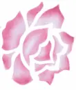 single rose
