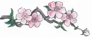 cherry branch divider