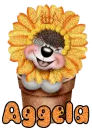 Aggela