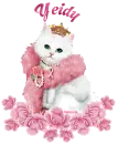 Kitty Of Hope - Yeidy
