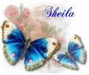 SHEILA
