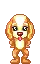 cute