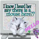 Hello, looking for that mouse