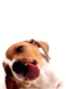 cute 