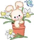 cute 
