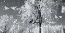 LOVE LIKE WINTER