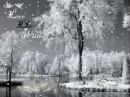 LOVE LIKE WINTER 2