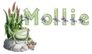 Mollie