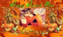 HAPPY HARVEST TIME
