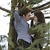 Twilight