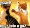 Hug Cats