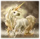 unicorn judy loves it