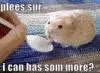 hammyyyyy