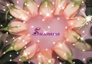 FLOWER SPARKLE