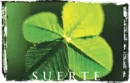 suerte