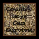 Country boys can survive